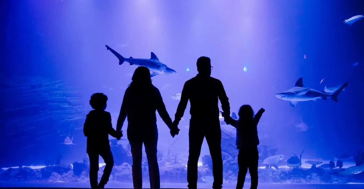 A walk-through tunnel at the Atlantis Aquarium near Madrid, Spain